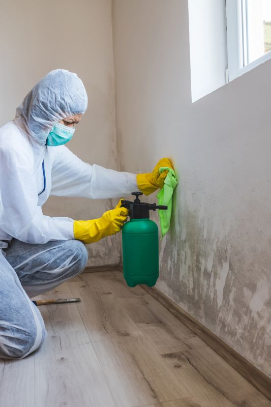 Air Duct Mold Removal in Boca Raton, FL