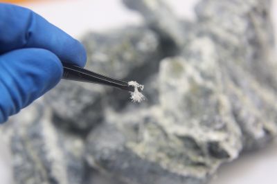 Asbestos Assessment in Old Bridge, NJ