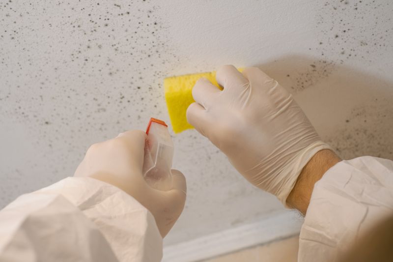 Attic Mold Remediation in Dallas, TX
