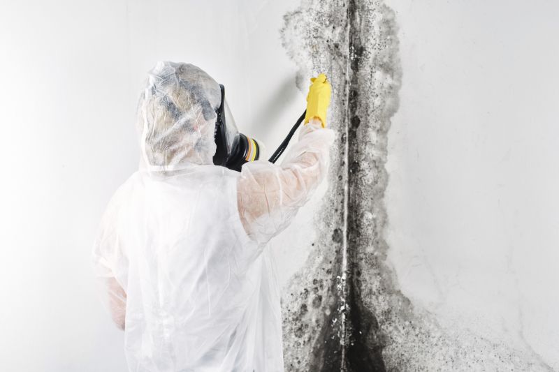 Attic Mold Remediation in Broward County, FL
