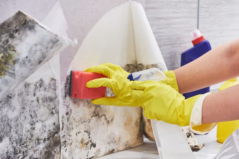 Attic Mold Removal in Boca Raton, FL
