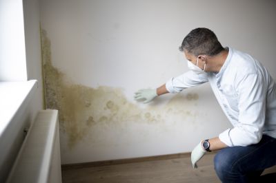 Basement Mold Remediation in Boca Raton, FL