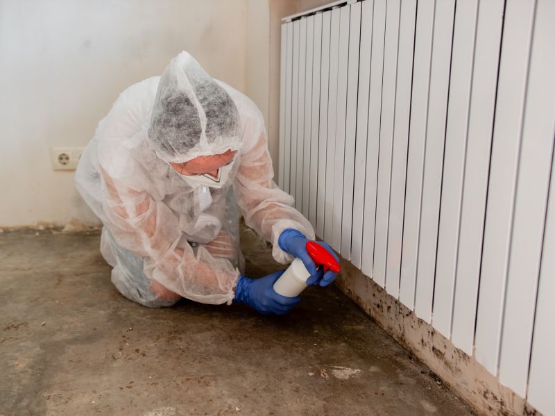 Basement Mold Removal in Fort Worth, TX