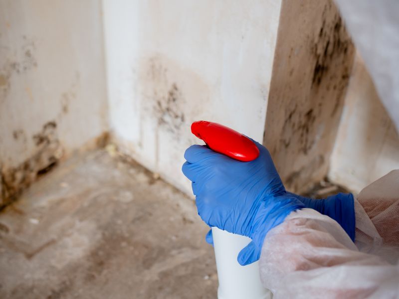 Black Mold Remediation in Jupiter, FL