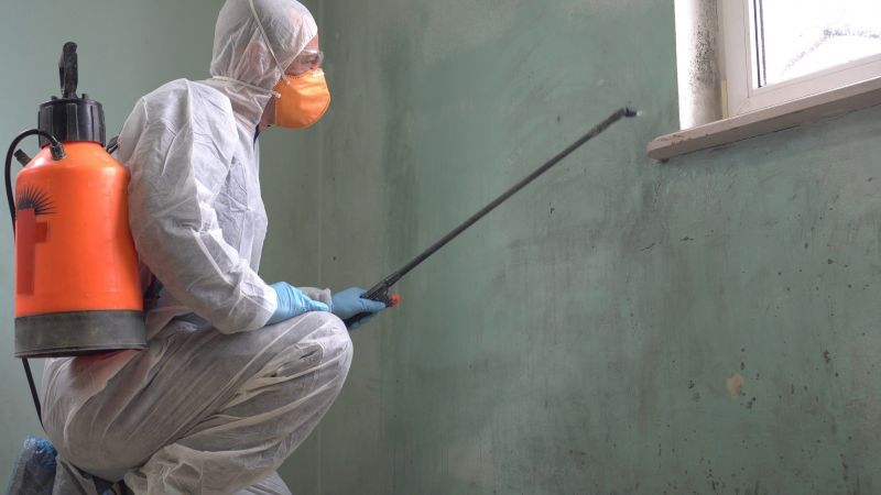 Black Mold Removal in Pompano Beach, FL