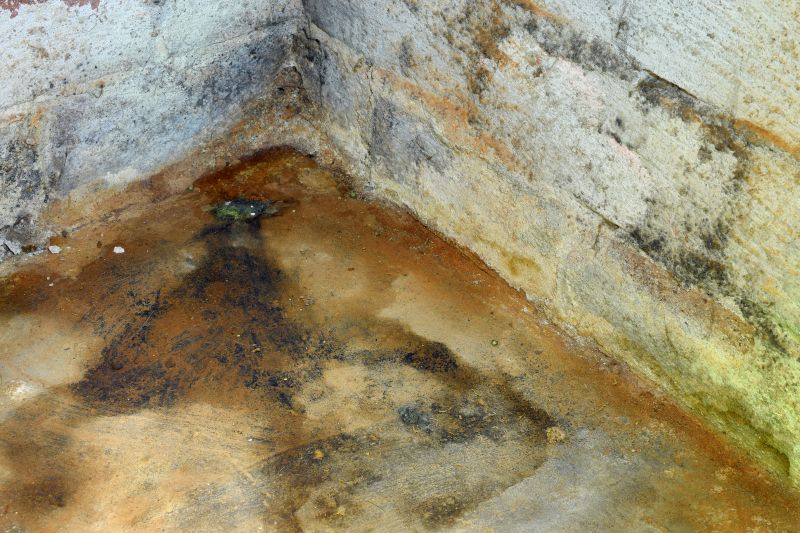 Crawl Space Mold Removal in Fort Worth, TX