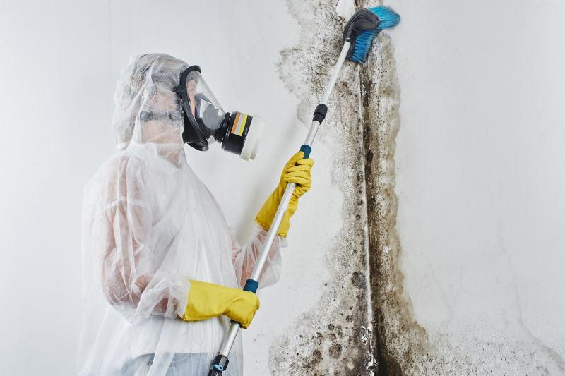 Crawl Space Mold Removal in Fort Lauderdale, FL