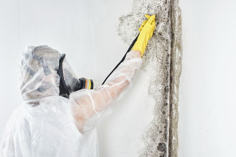 Mold Abatement in Frisco, TX
