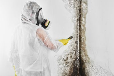 Mold Abatement Service in Fort Lauderdale, FL