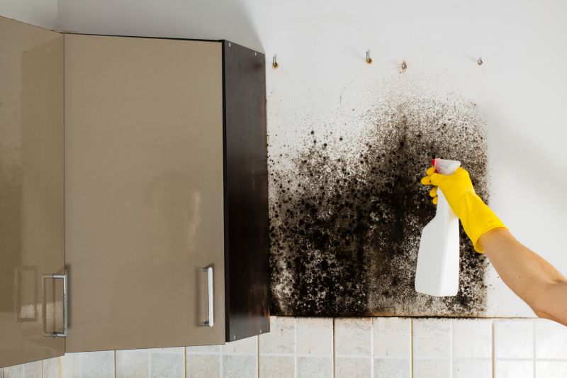 Mold Cleanup Service in Broward County, FL