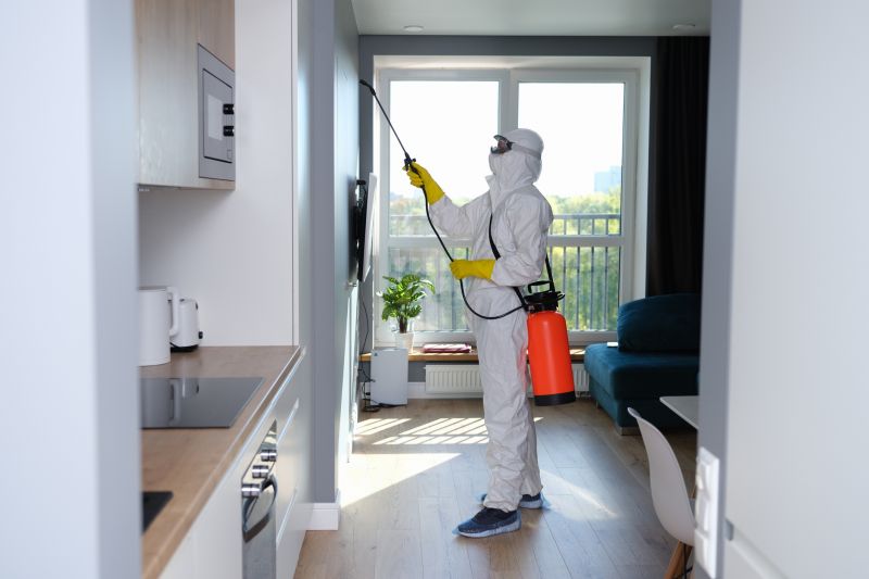 Mold Cleanup Service in Essex County, NJ