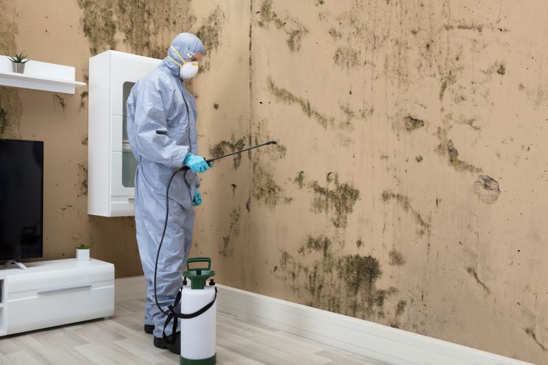 Mold Detection in Weatherford, TX