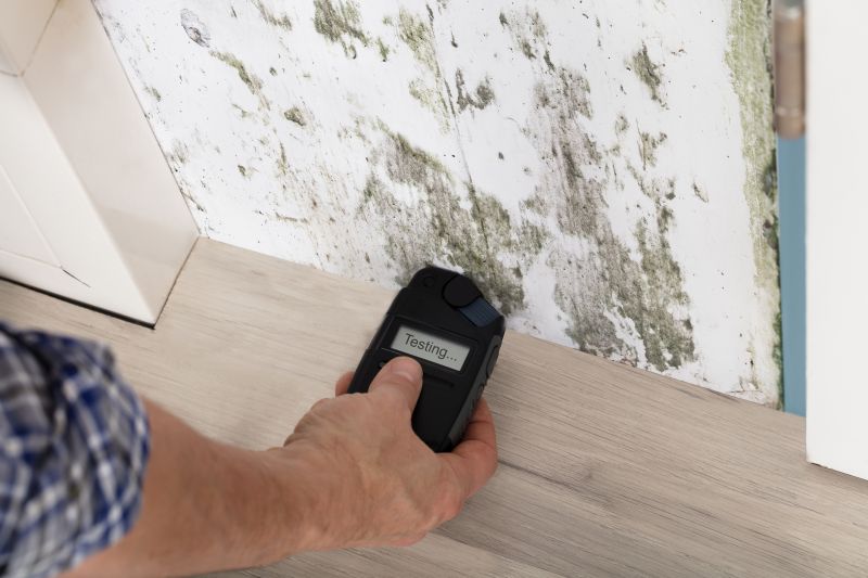 Mold Detection in Boynton Beach, FL