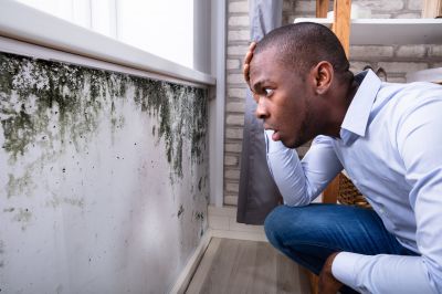 Mold Inspection And Removal in Boca Raton, FL