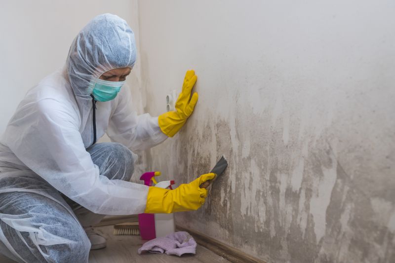 Mold Remediation Service in Frisco, TX