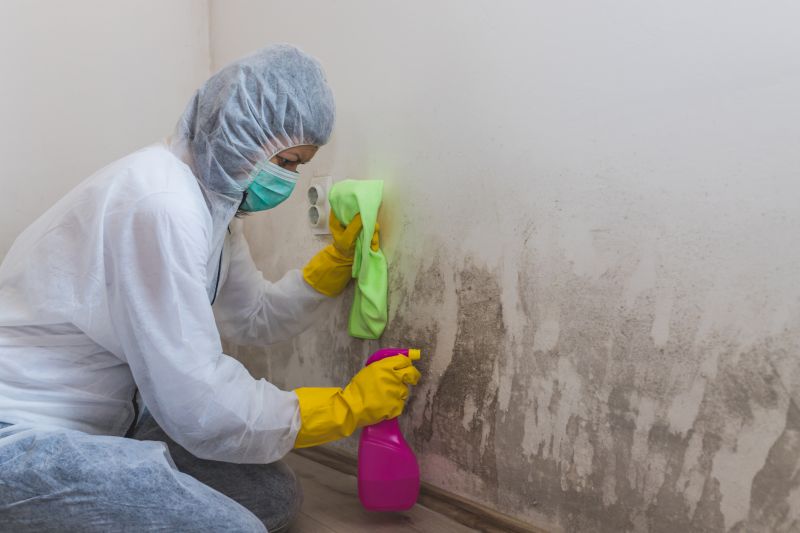 Mold Removal in Essex County, NJ