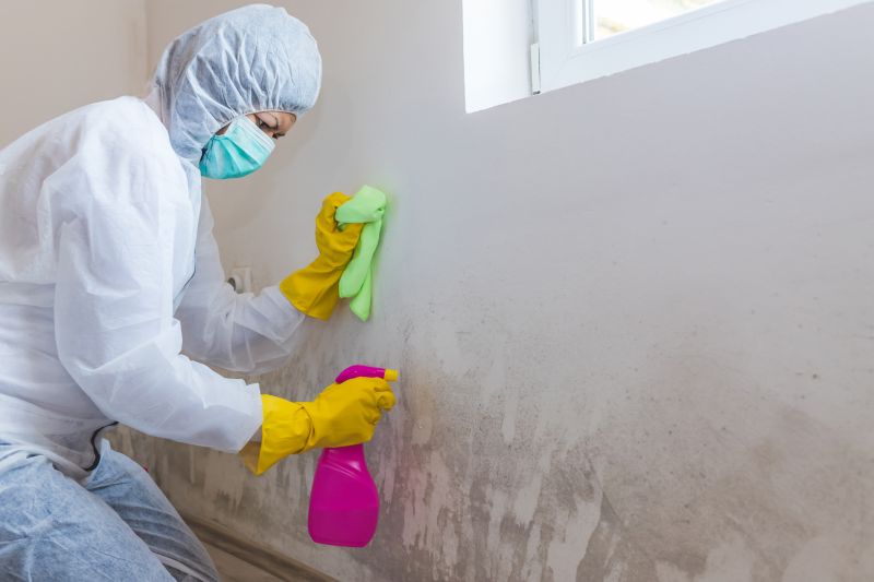Mold Restoration in Bergen County, NJ