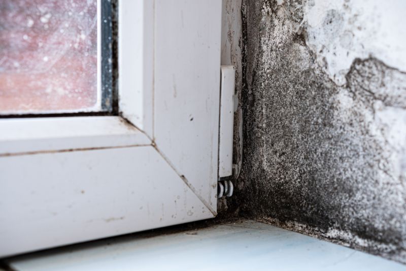 Mold Restoration in Fort Worth, TX