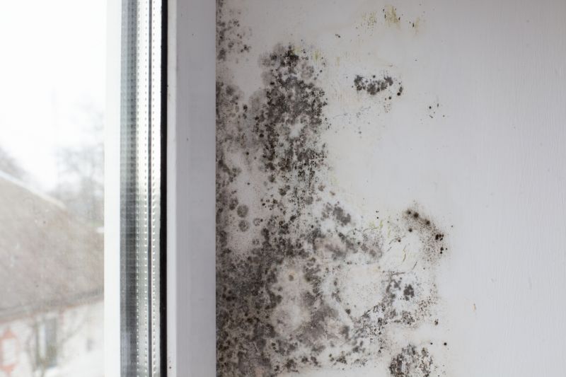 Mold Treatment Service in Fort Lauderdale, FL