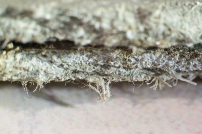 Vermiculite Removal Service in Sussex County, NJ