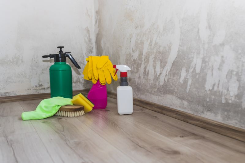 Attic Mold Remediation in Fort Lauderdale, FL