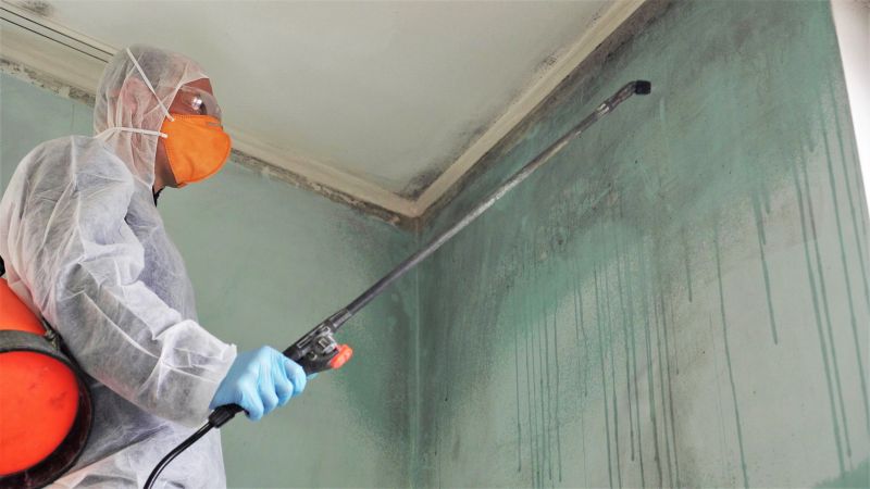 Basement Mold Remediation in Essex County, NJ