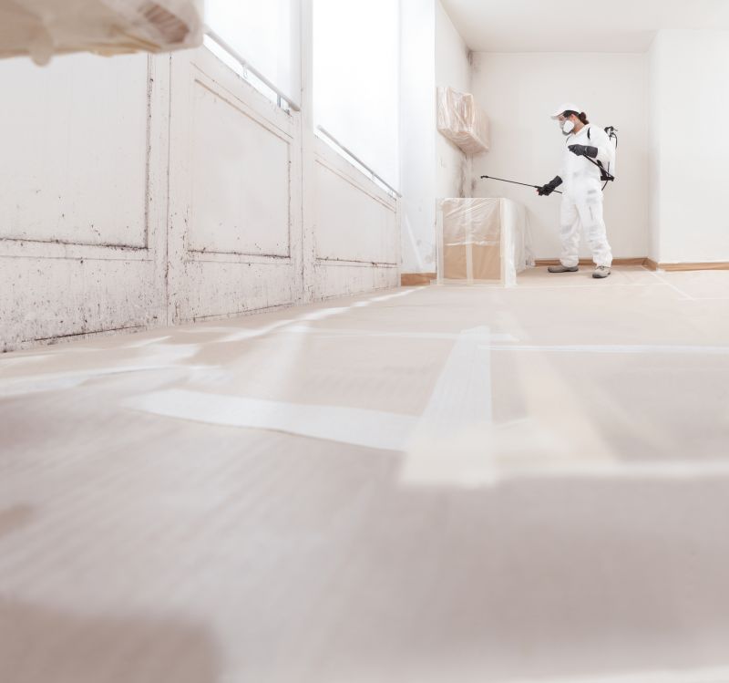 Basement Mold Remediation in Fort Worth, TX