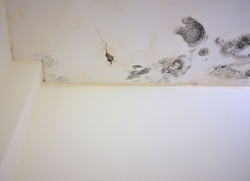 Ceiling Mold Removal in Fort Worth, TX