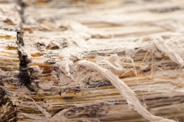 Vermiculite Remediation