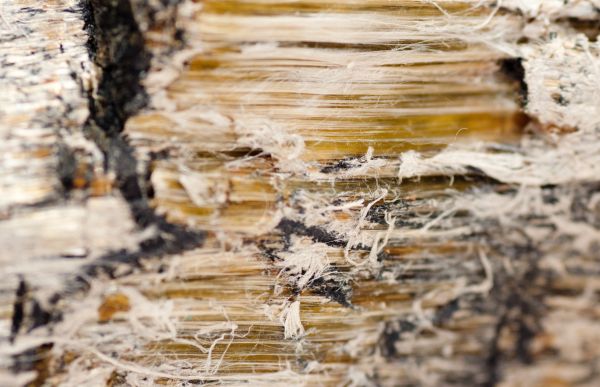 Vermiculite Mitigation