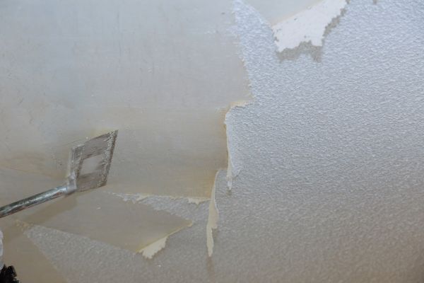 Asbestos Ceiling Abatement